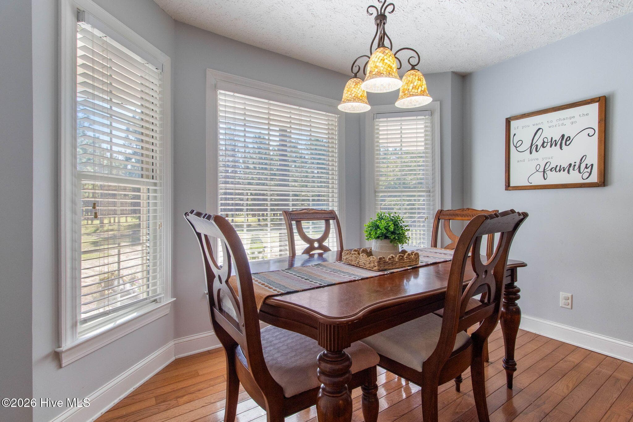 Single Family Residence at 727 Mount Olive Road, Bladenboro, NC 28320, photo 17 of 74
