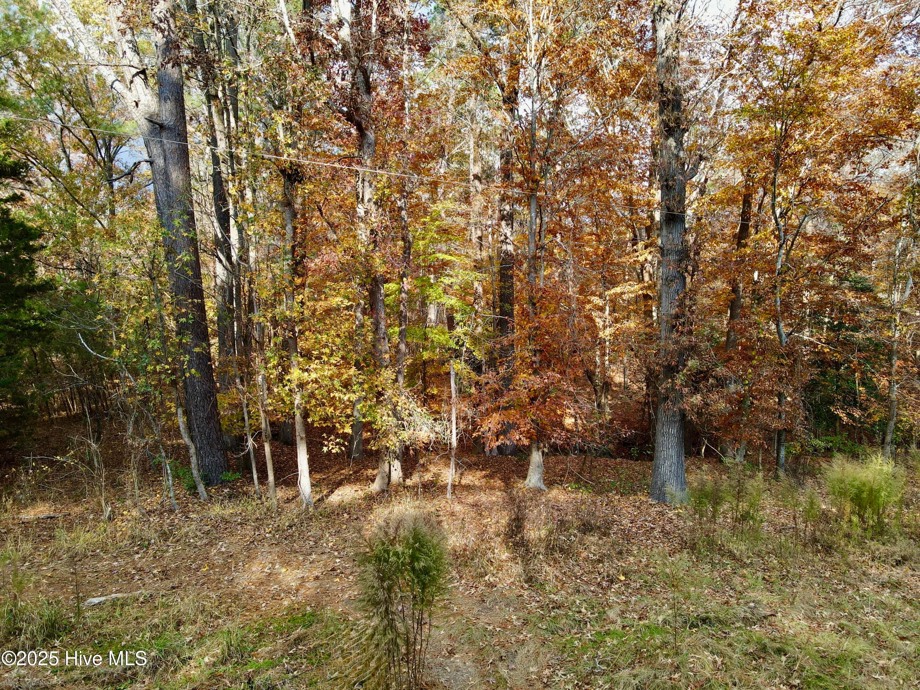 Wooded at 0 Williams Road, Williamston, NC 27892, photo 9 of 16