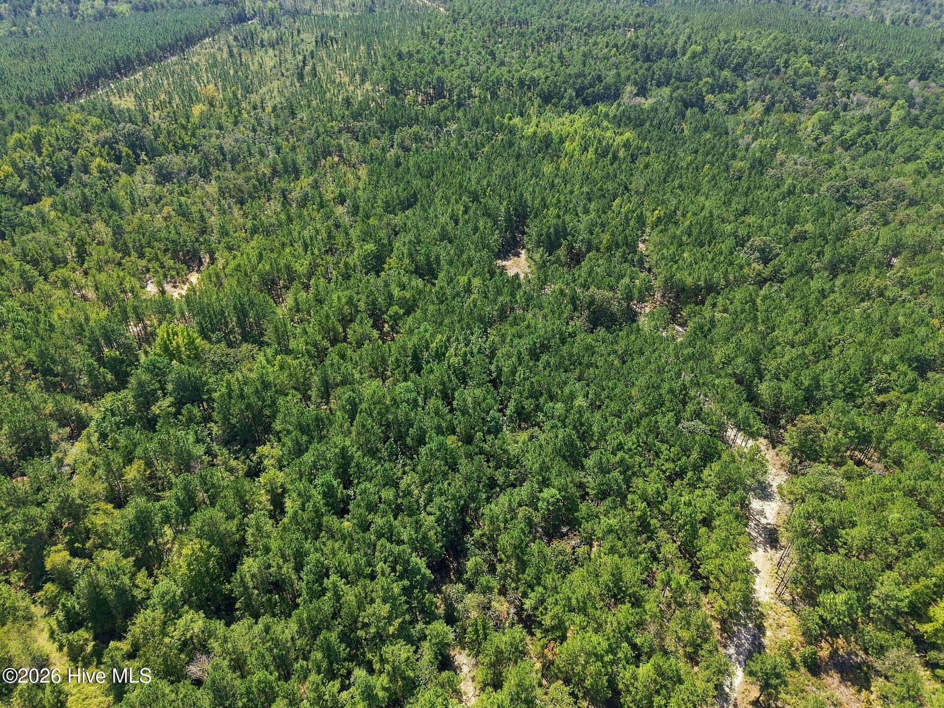 Undeveloped at 260 Full Bright Lane, Cameron, NC 28326, photo 4 of 15