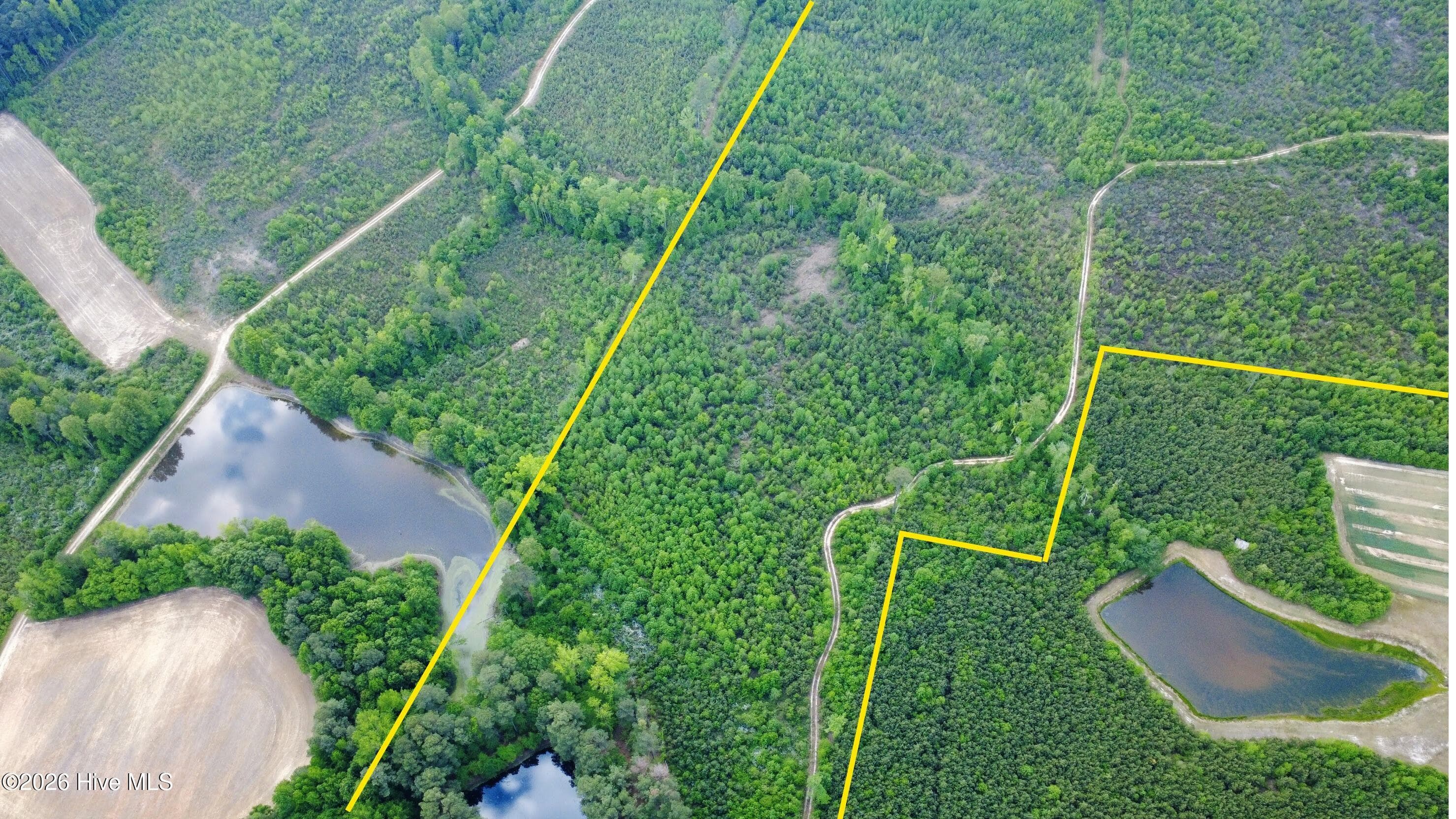 Undeveloped at 5570 Lancaster Store Road, Spring Hope, NC 27882, photo 5 of 10