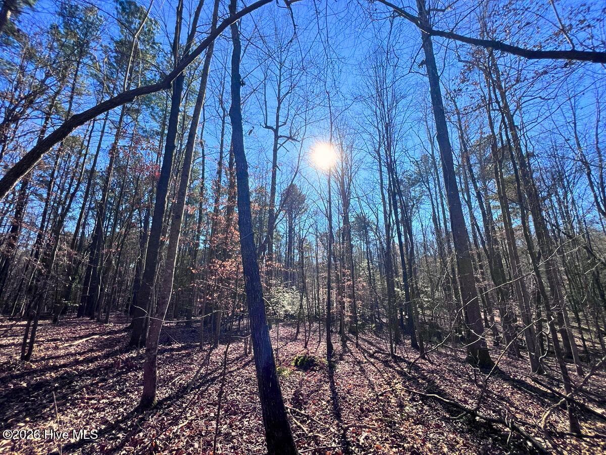 Residential Land at 0 Nc 98 Highway, Spring Hope, NC 27882, photo 7 of 39