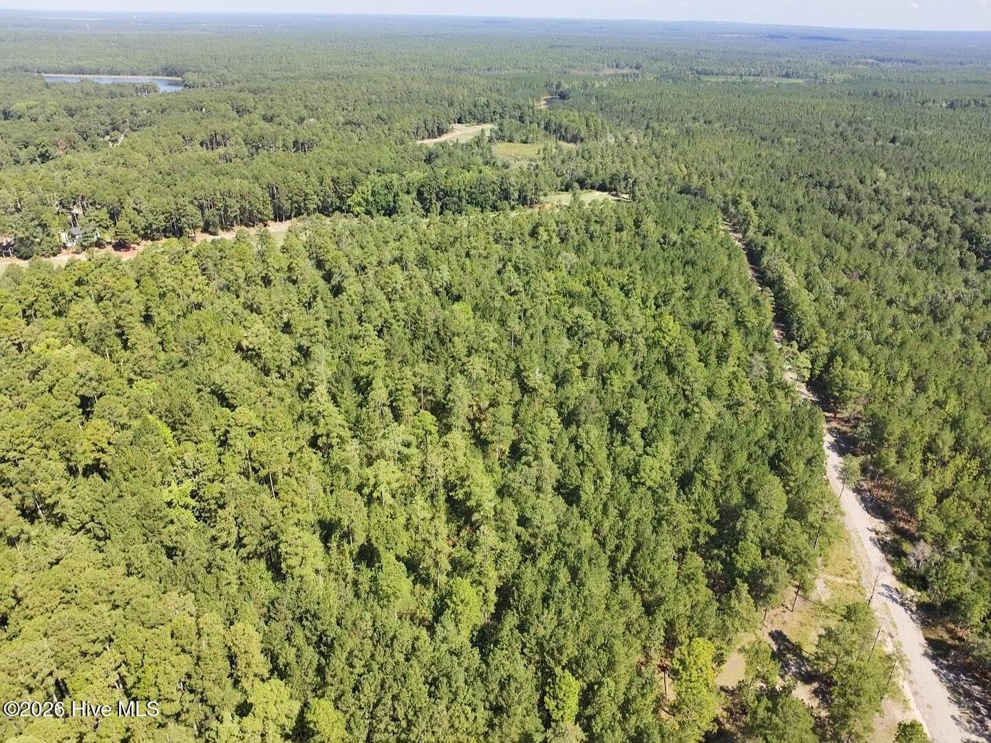 Residential Lot at Trt 8 Peach Orchard Road, Wagram, NC 28396, photo 5 of 7
