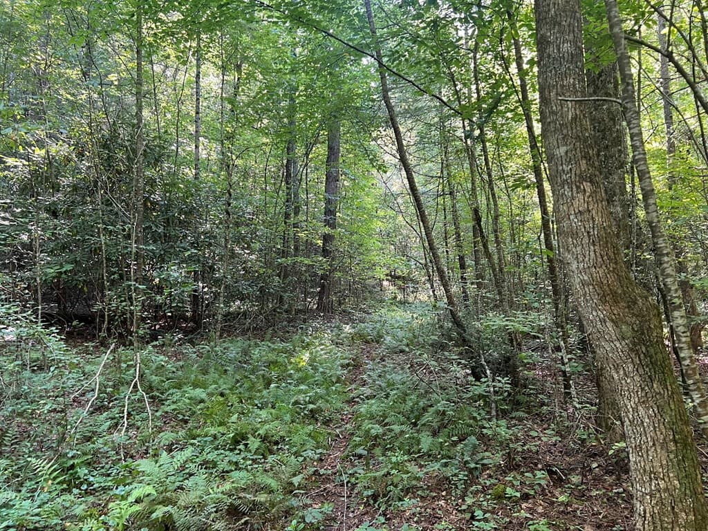 Undeveloped at 00 Rj Mountain View Drive, Murphy, NC 28906, photo 5 of 6