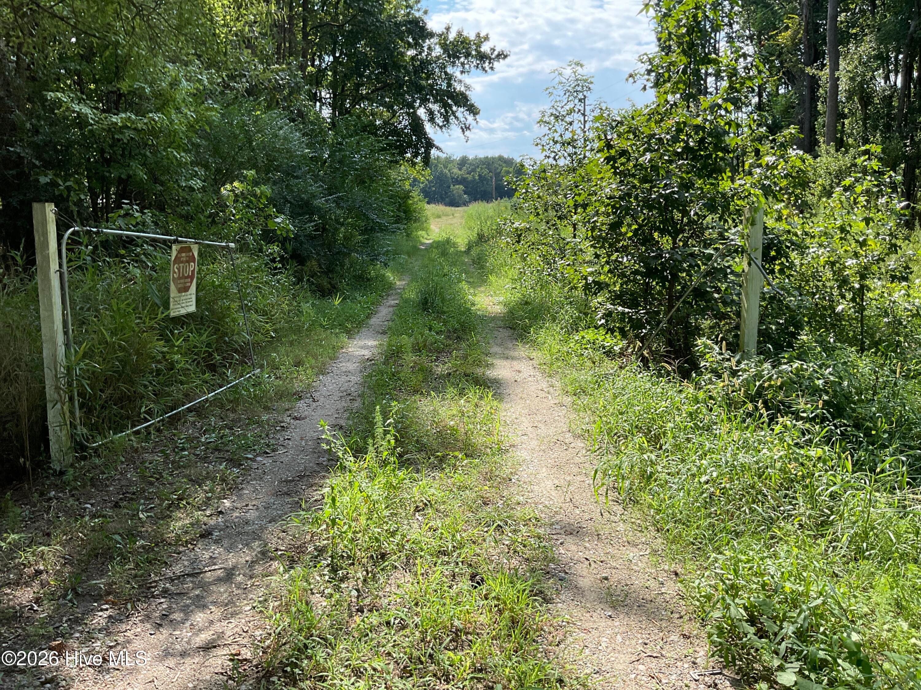 Farm at 5650 Old 125 Road, Scotland Neck, NC 27874, photo 7 of 8