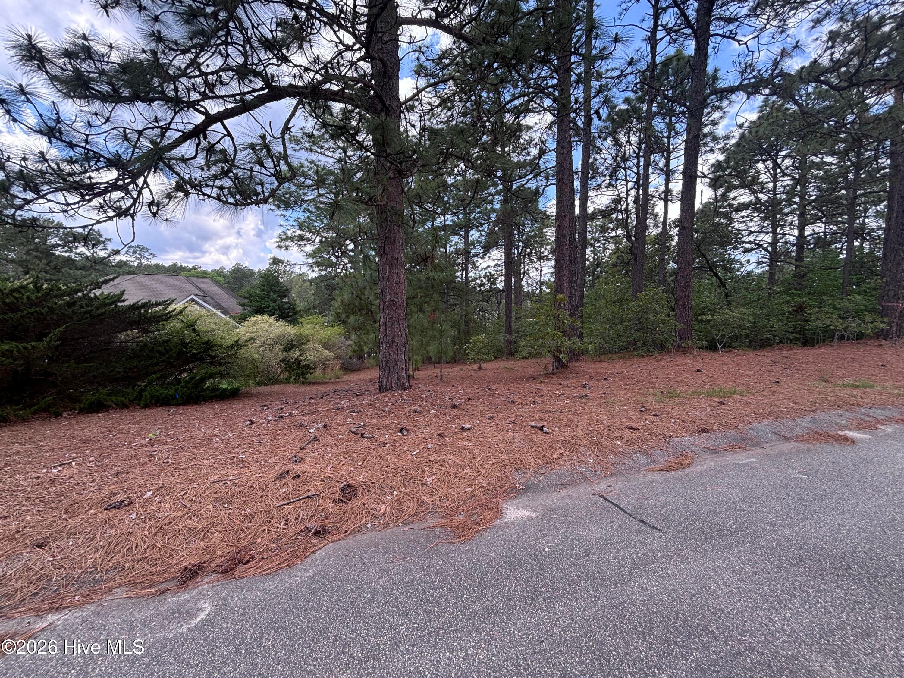 Residential Lot at 111 Callis Circle, West End, NC 27376, photo 3 of 18