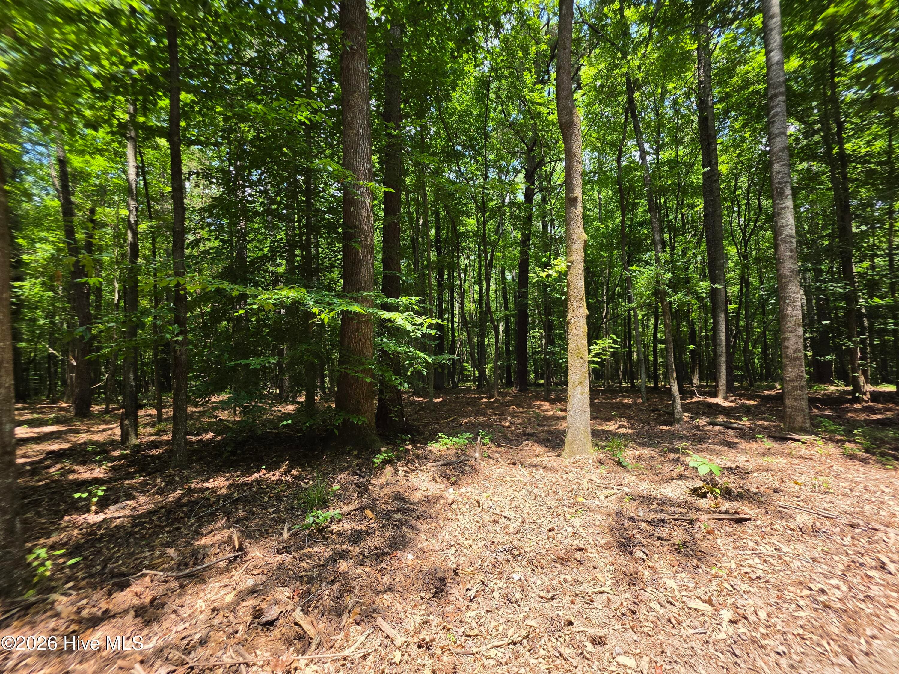 Mixed Use at 000 Court Ground Road, Washington, GA 30673, photo 6 of 52