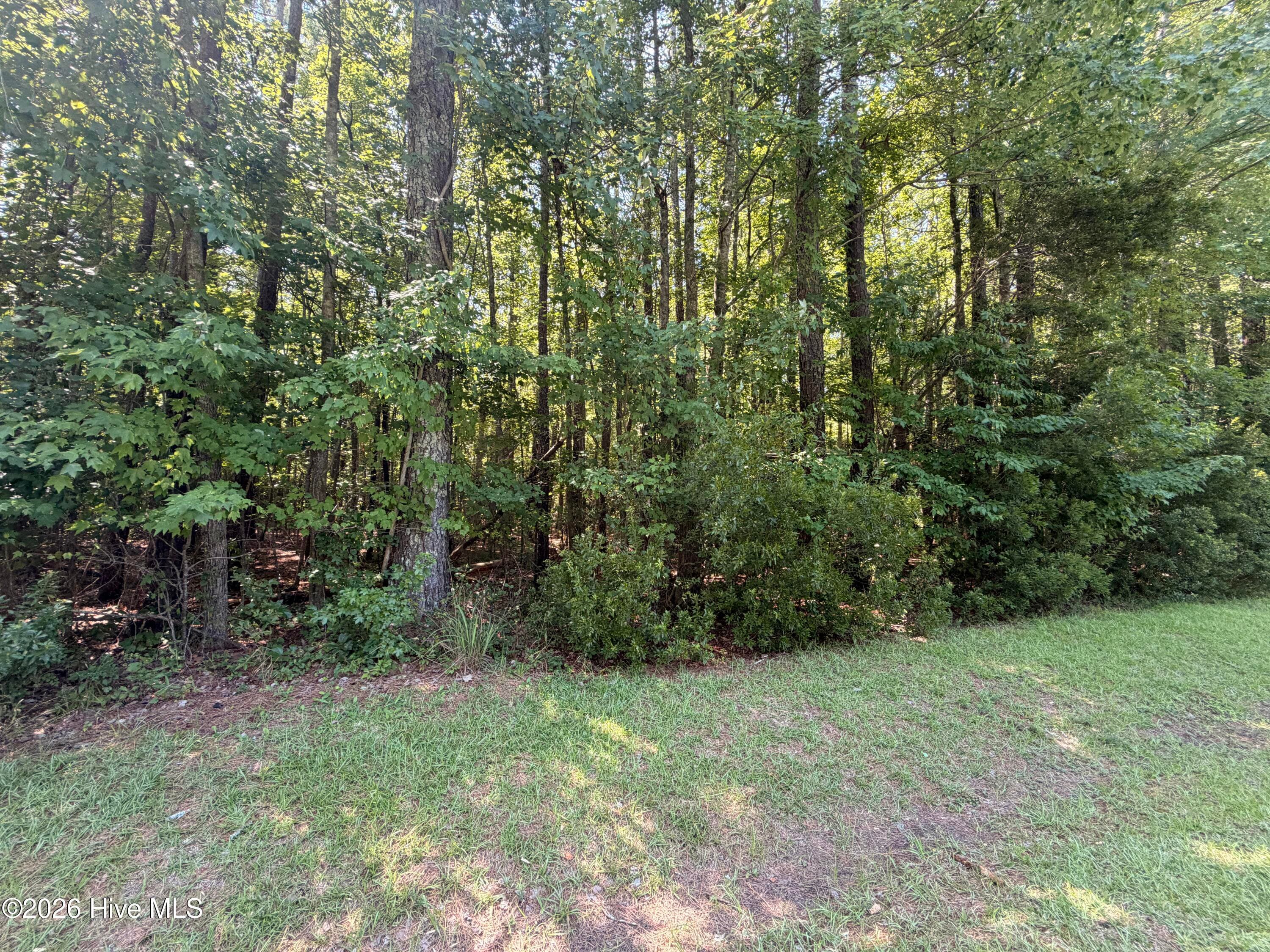 Lot 18 Off Sr 1119, Blounts Creek, NC 27814