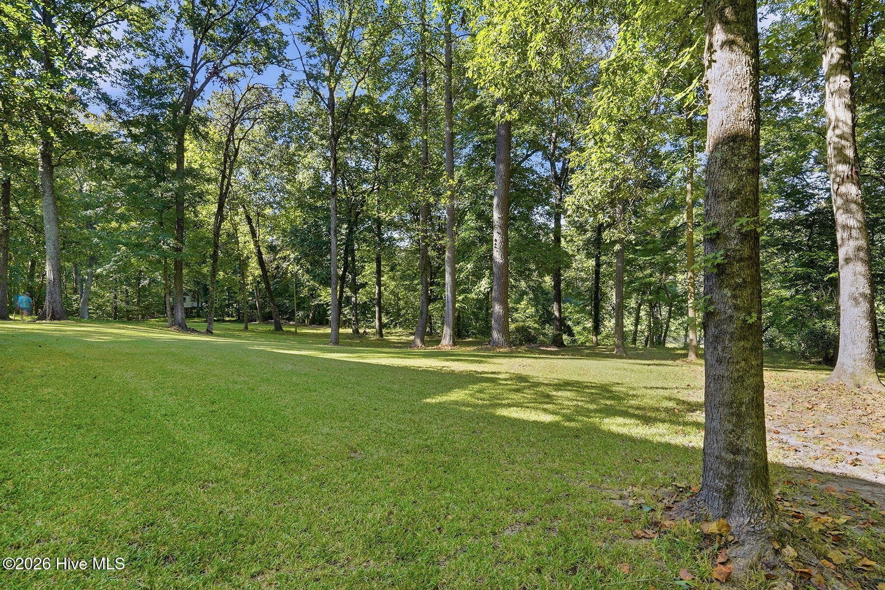 Single Family Residence at 415 River Bluff Drive N, Dunn, NC 28334, photo 76 of 88