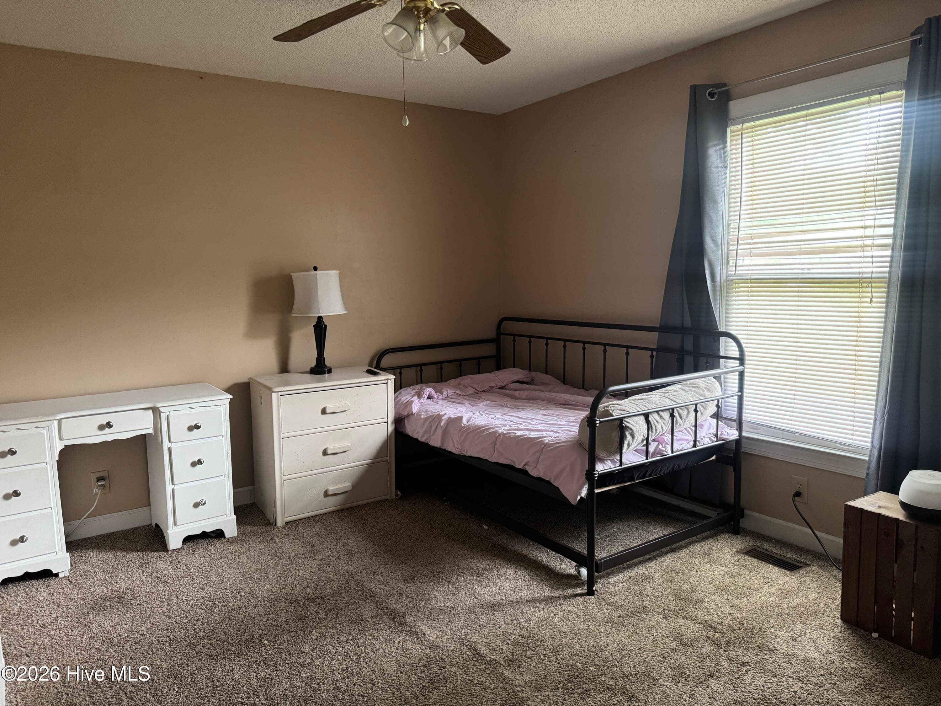 Single Family Residence at 203 Walden Woods Drive, La Grange, NC 278551, photo 9 of 13