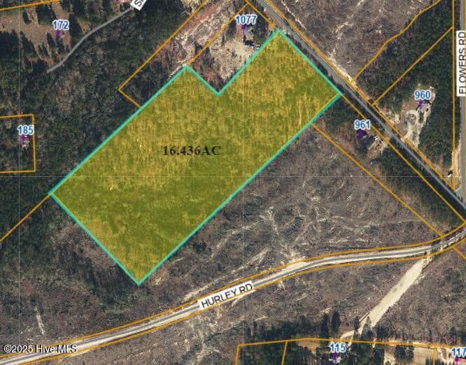 Wooded at 1035 Mill Road, Jackson Springs, NC 27281, photo 4 of 5