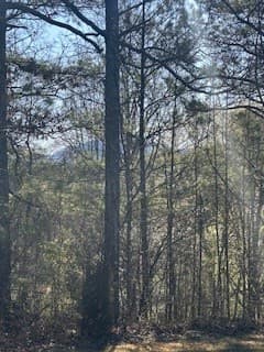 Undeveloped at 9-11 Sugar Maple Road, Murphy, NC 28906, photo 4 of 7