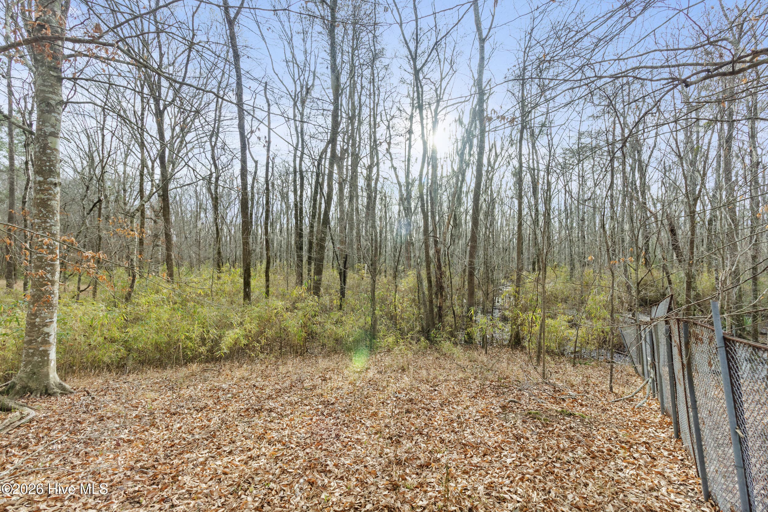 Undeveloped at 2711 Old Airport Road, New Bern, NC 28562, photo 13 of 23