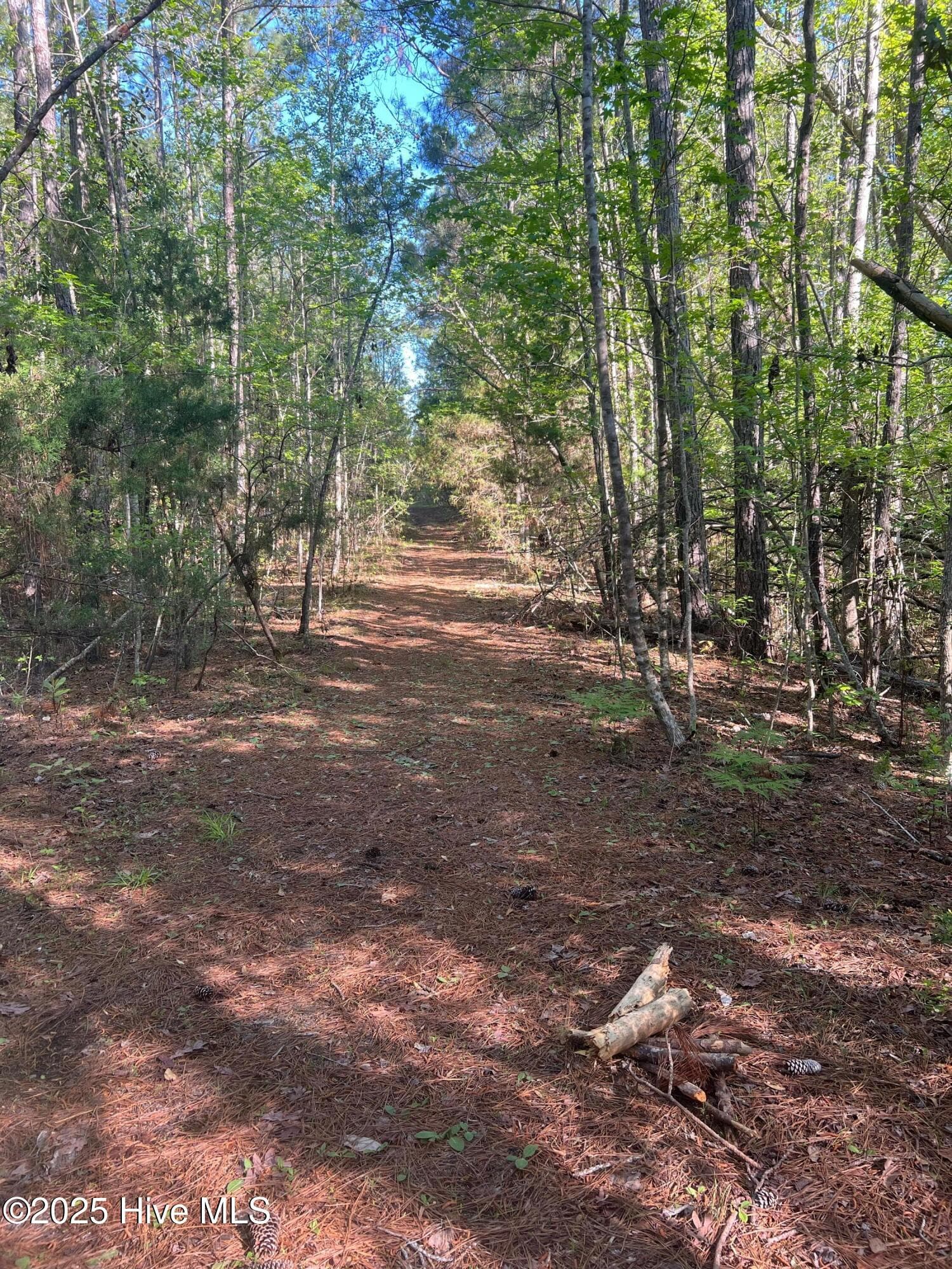 Residential Lot at Tbd Wood Creek Drive, Hubert, NC 28539, photo 7 of 8