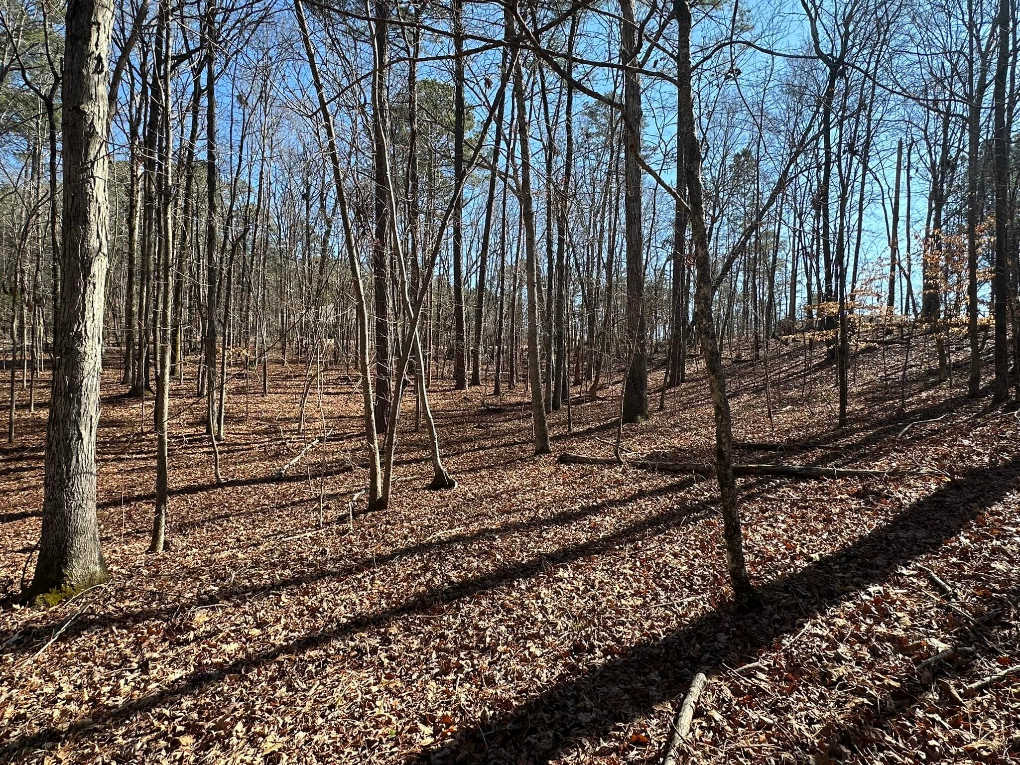 Residential Lot at 117 B35 L9 Cumberland Drive, McCormick, SC 29835, photo 8 of 14