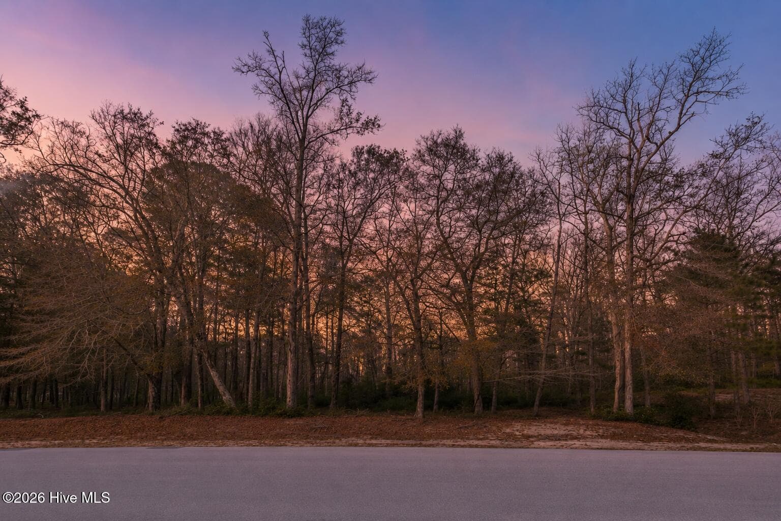 Wooded at 3382 Eagle Crest Drive SW, Supply, NC 28462, photo 6 of 35