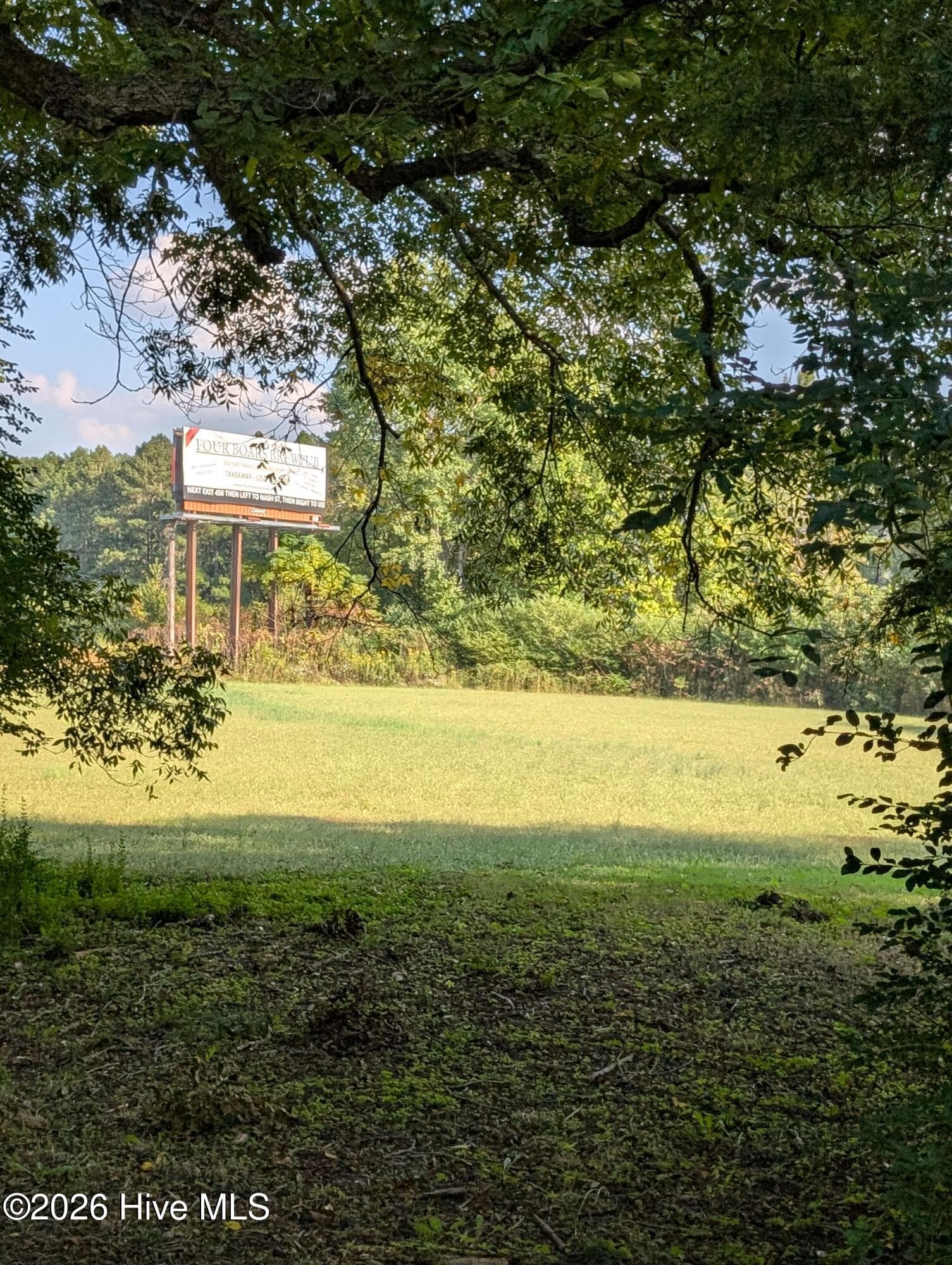 Undeveloped at 11715 Us-64 Alt, Spring Hope, NC 27882, photo 8 of 17