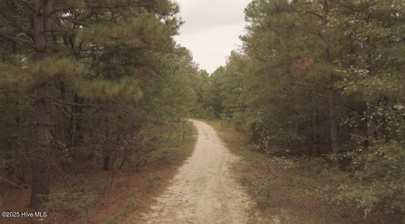 Residential Land at Tbd Brandon Circle, Laurinburg, NC 28352, photo 6 of 14