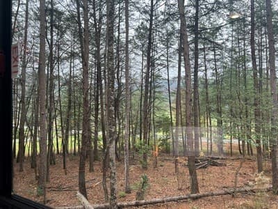 Recreation at Lot 5 5 Morganton Highway, Suches, GA 30572, photo 3 of 22
