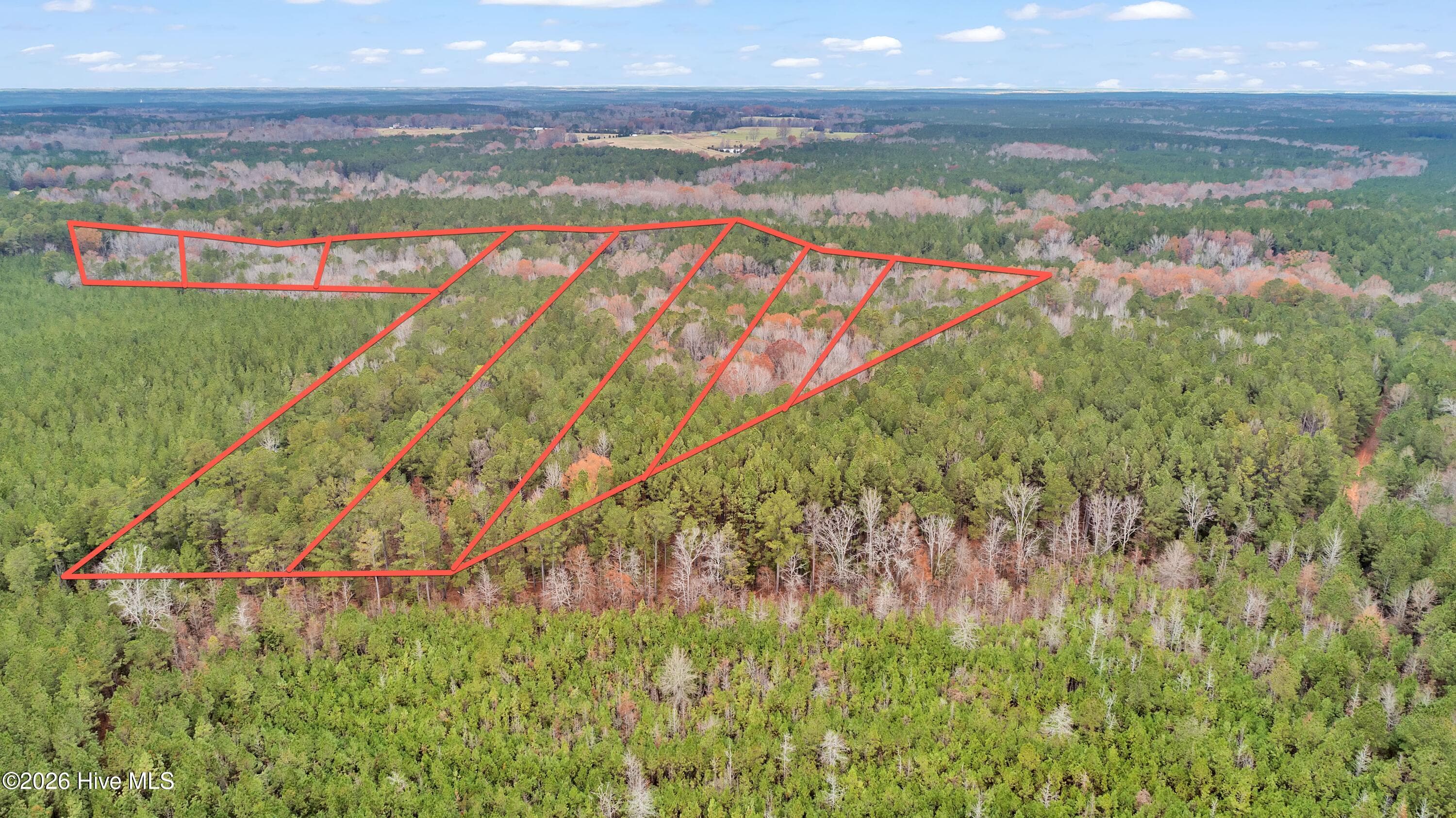 Agriculture at Lot 4 Saggus Road, Washington, GA 30673, photo 16 of 25