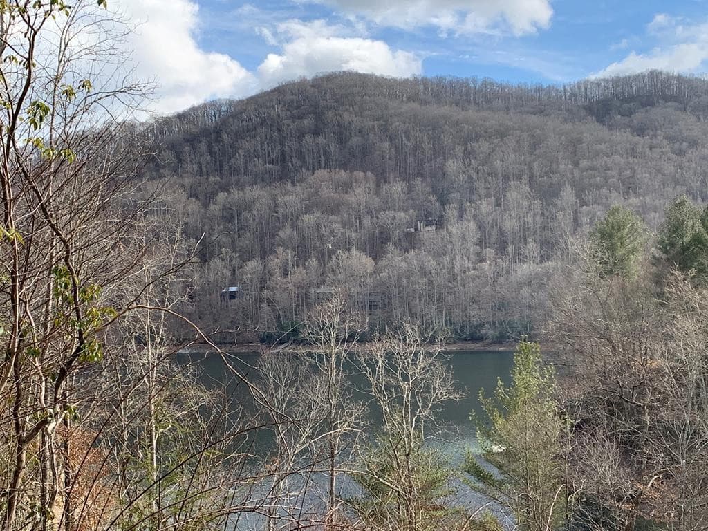 Lot # 11 11 Forest Vista Lane, Topton, NC 28781