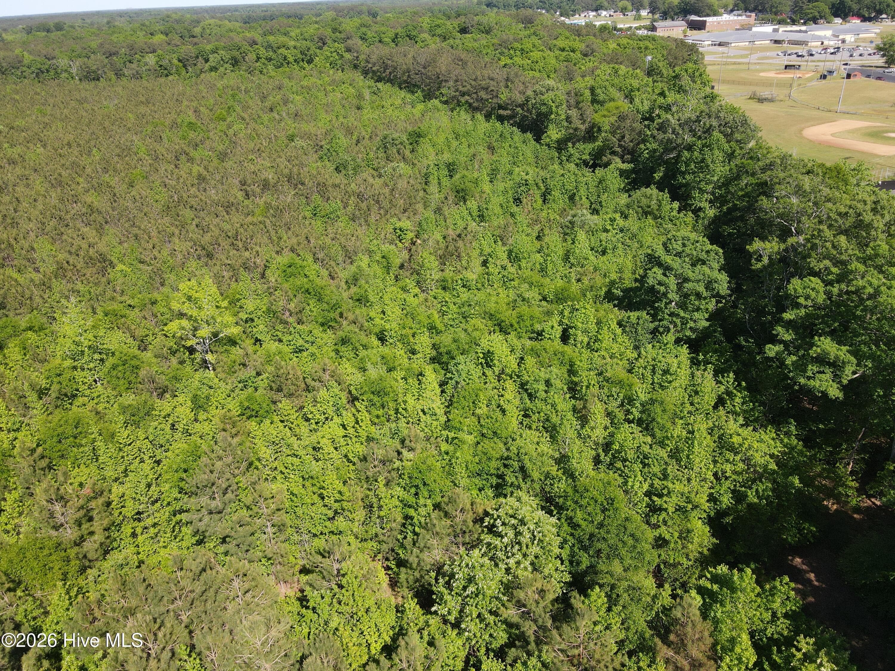 Undeveloped at 0 Colice Hall Lane, Ahoskie, NC 27910, photo 10 of 20