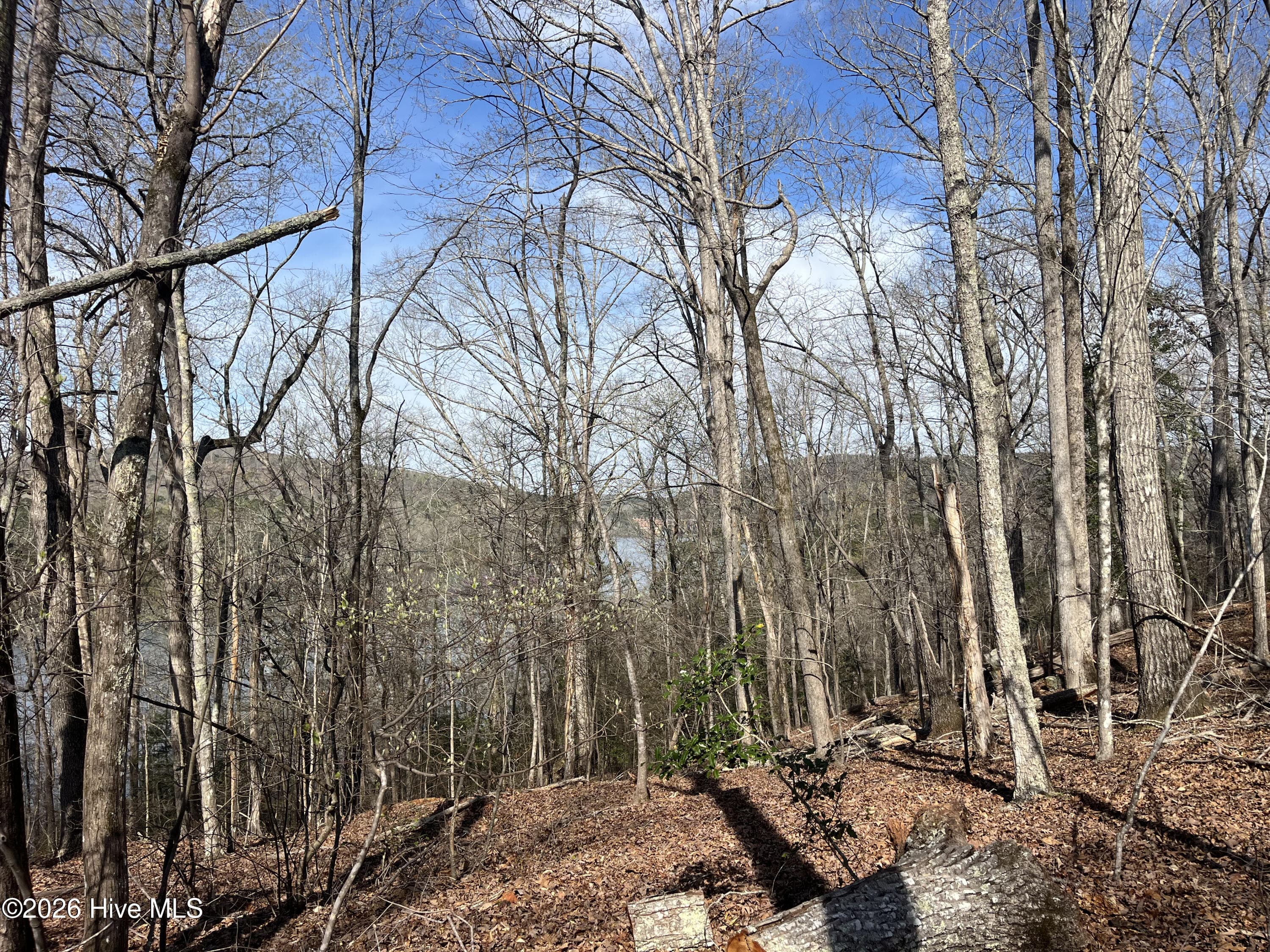 Undeveloped at Tbd Haltiwanger Retreat Road, Troy, NC 27371, photo 15 of 21