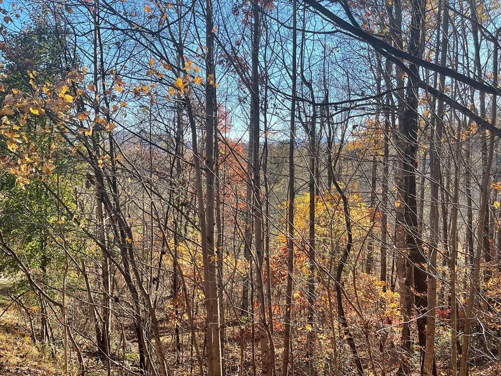 Lot 41c 41C Ash Branch Circle, Hayesville, NC 28904