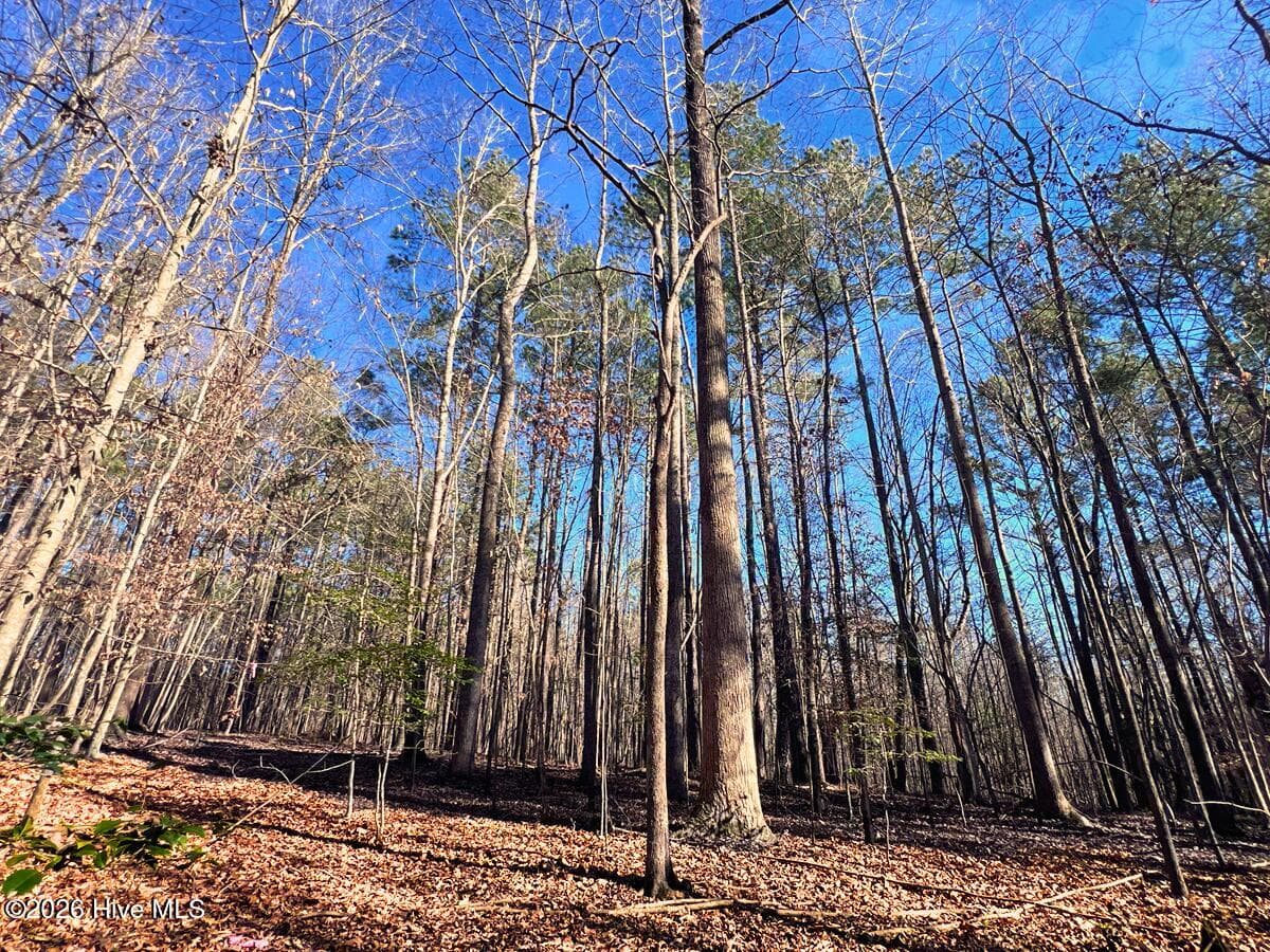 Residential Land at 0 Nc 98 Highway, Spring Hope, NC 27882, photo 30 of 39