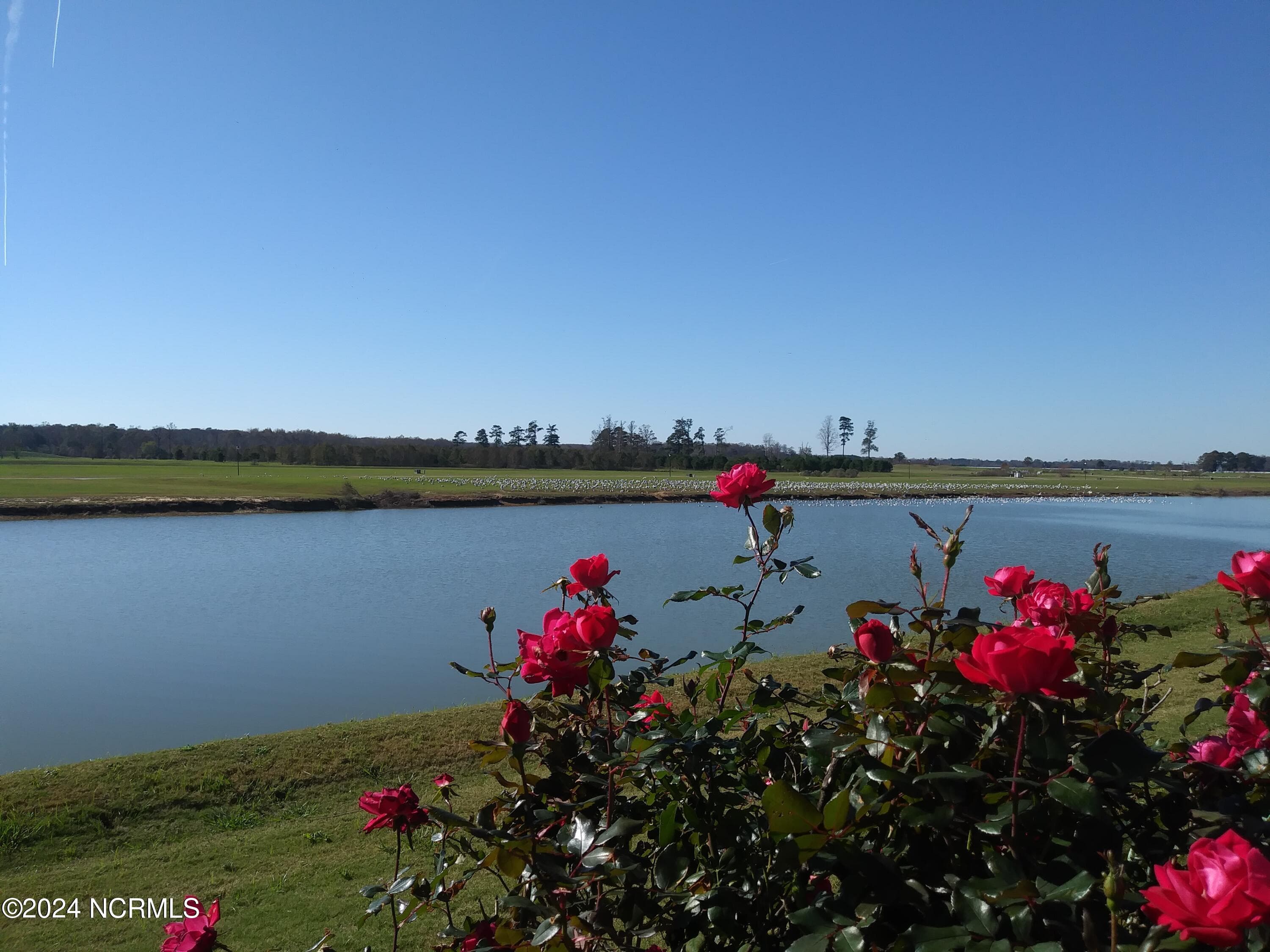 Residential Lot at 115 #32 Kingsview Court, Merry Hill, NC 27957, photo 11 of 12