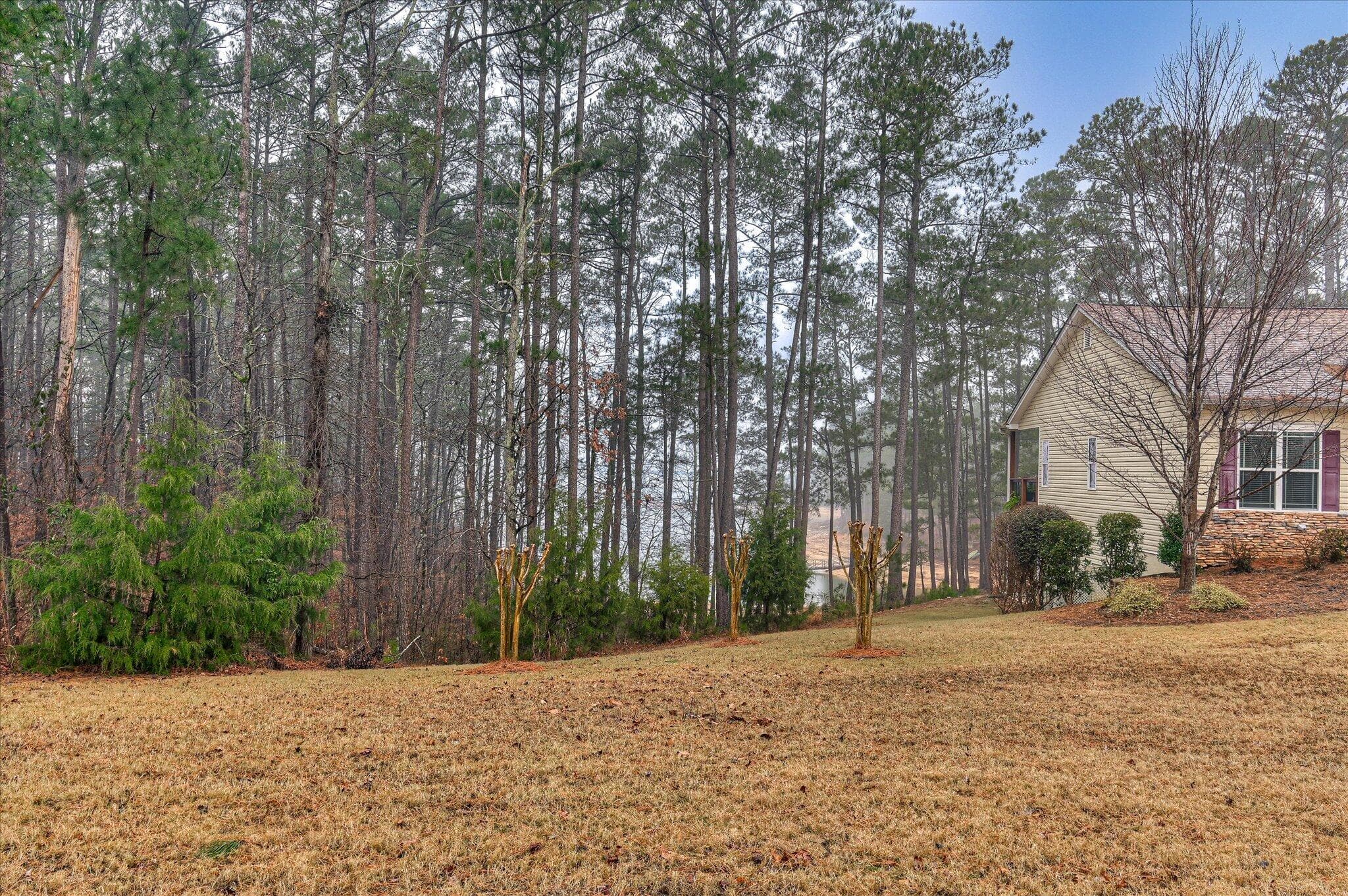 Single Family Residence at 184 Savannah Drive, McCormick, SC 29835, photo 9 of 70