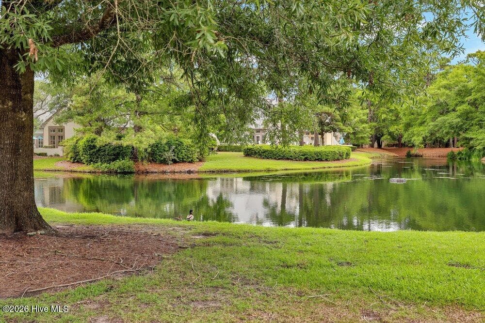 Pond view from rear courtyard - 1609 Dijon Drive, Wilmington, NC 28405