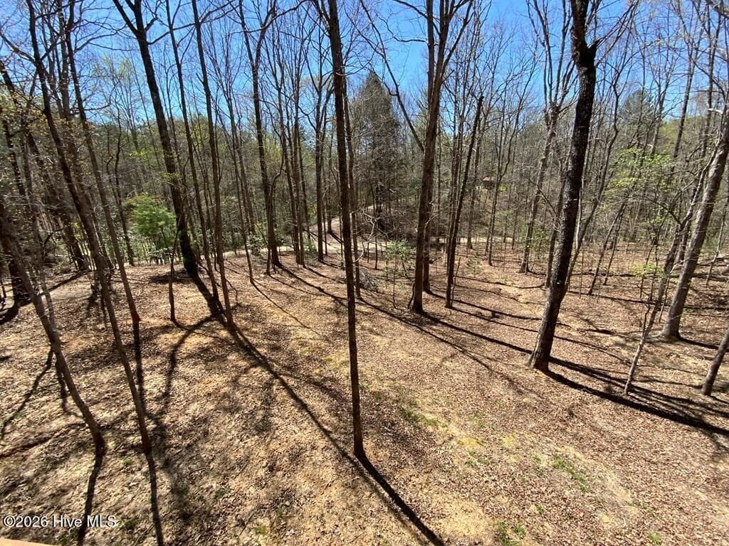 Single Family Residence at 28 Copper Fox Corner, Murphy, NC 28906, photo 8 of 36