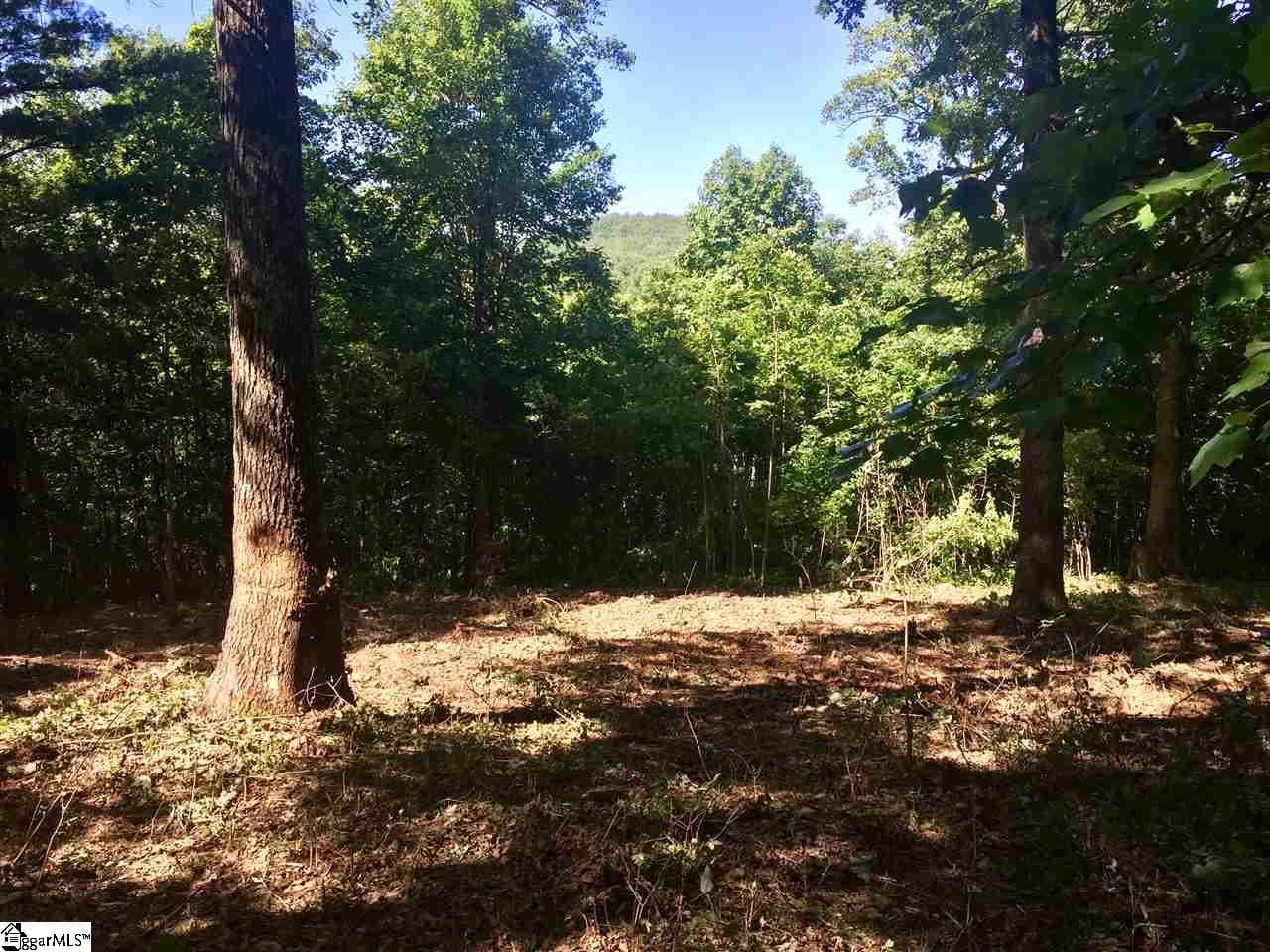 28 Wild Ginger Road, Landrum SC 29356