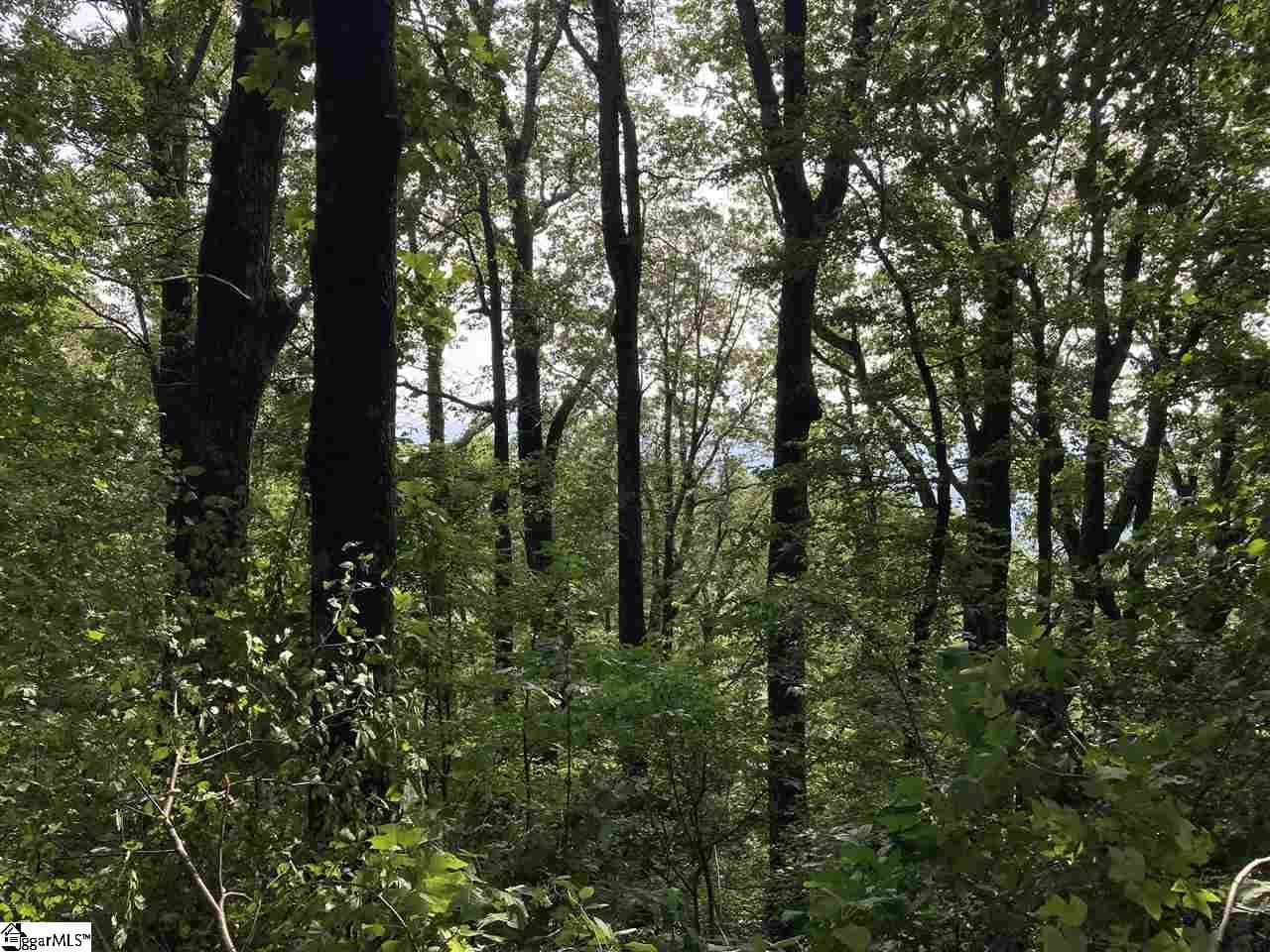 Residential Lot at Boulder Lookout Drive Lot 151, Landrum SC 29356, photo 6 of 7