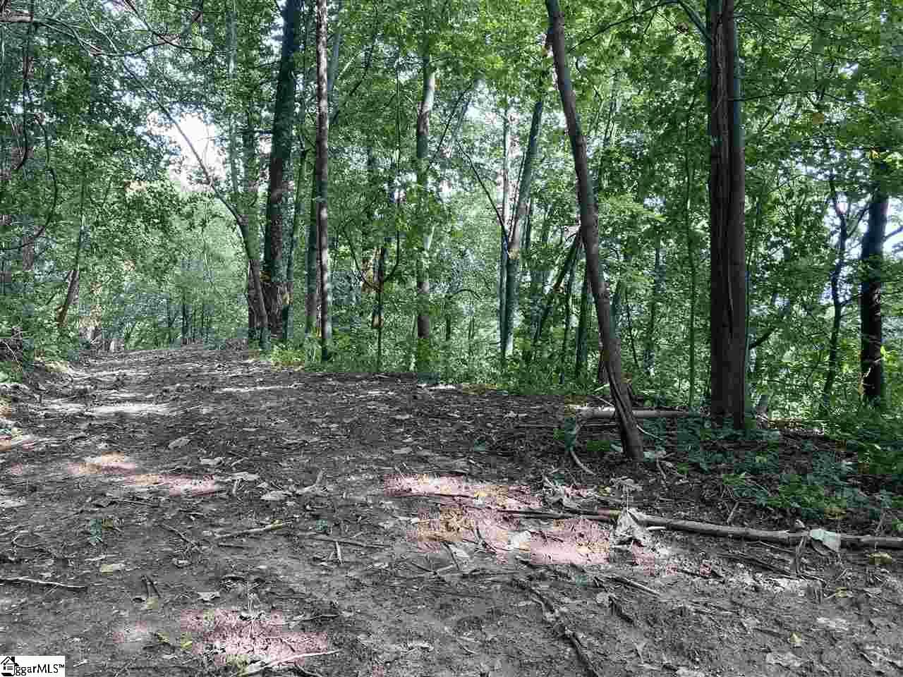 Residential Lot at Boulder Lookout Drive Lot 151, Landrum SC 29356, photo 5 of 7