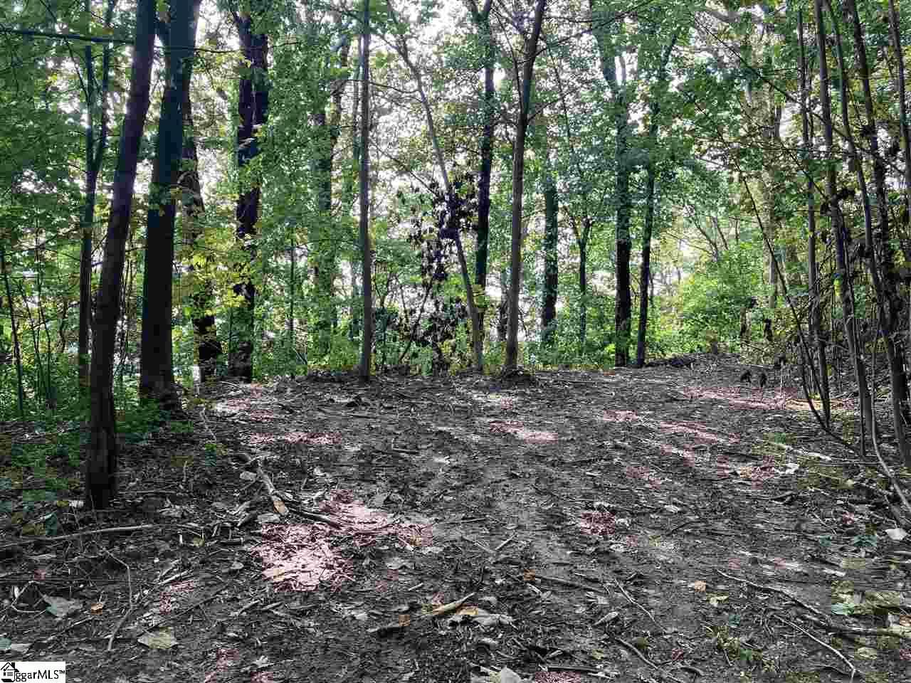 Residential Lot at Boulder Lookout Drive Lot 151, Landrum SC 29356, photo 4 of 7