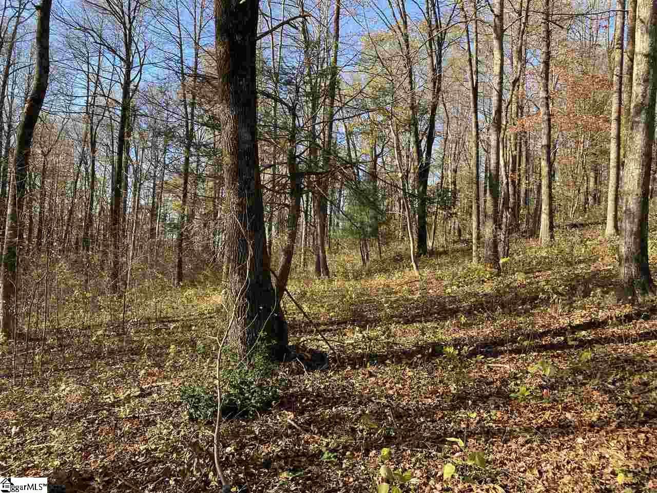 Residential Lot at 194 Catnip Trail, Landrum SC 29356, photo 3 of 4