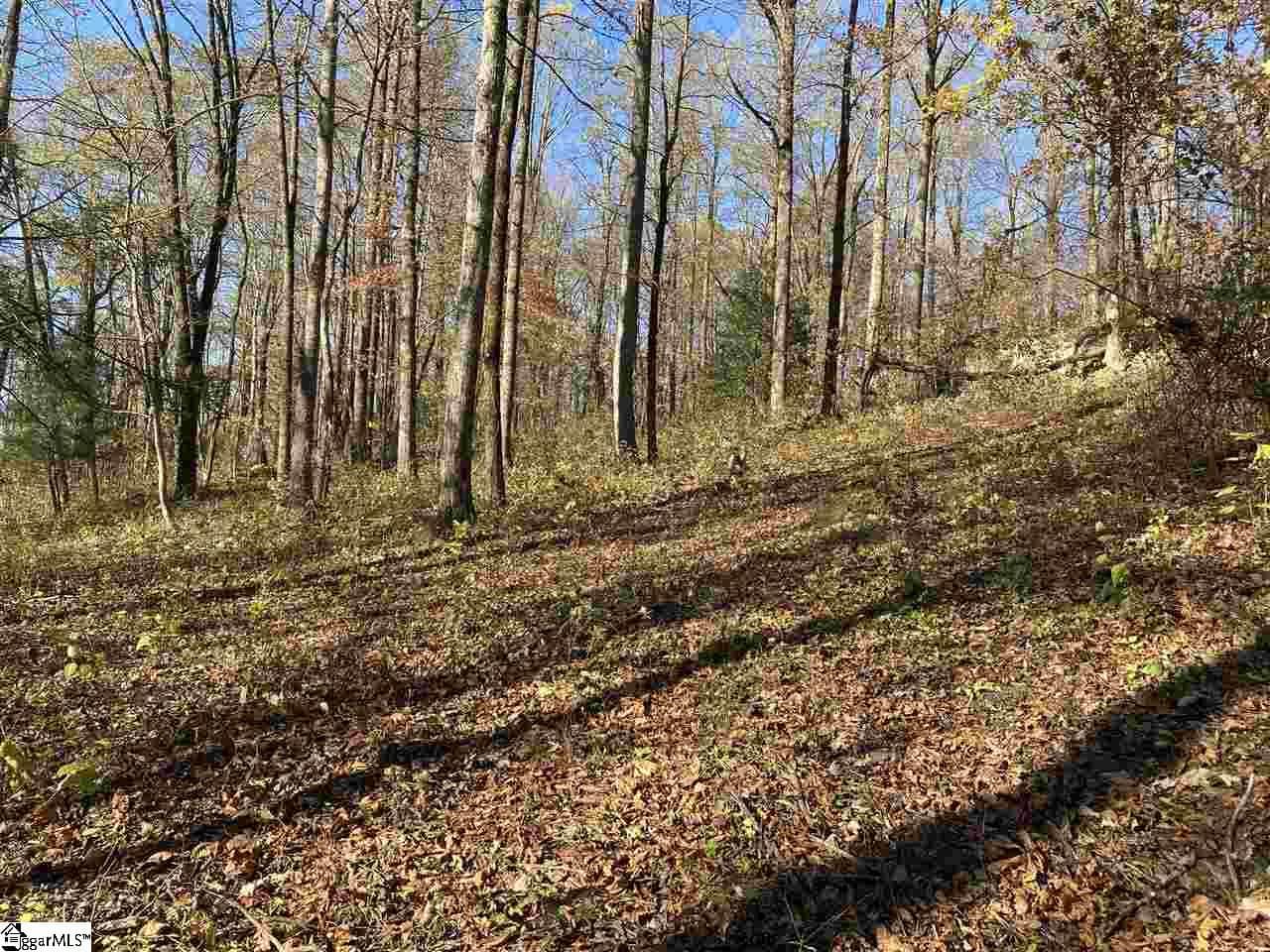 194 Catnip Trail, Landrum SC 29356
