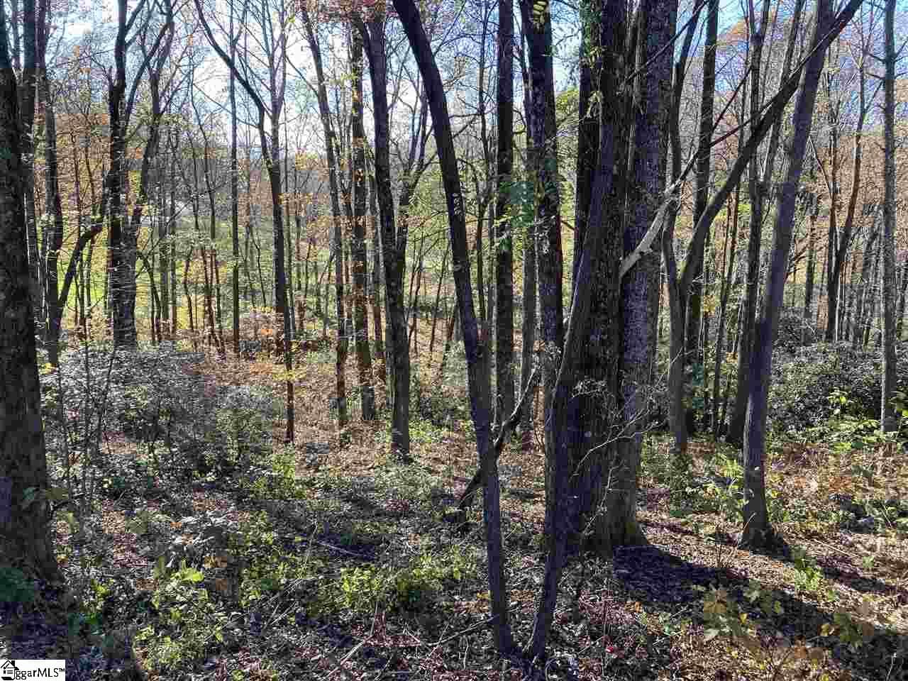 Residential Lot at The Cliffs Parkway Lot 33B, Landrum SC 29356, photo 2 of 3