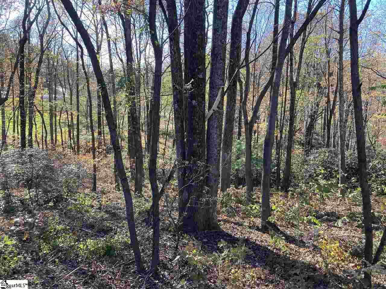 The Cliffs Parkway Lot 33B, Landrum SC 29356