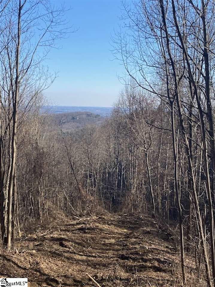 270 Foggy Cut Lane, Landrum SC 29356