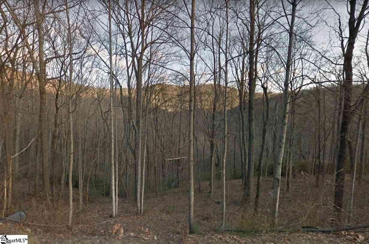 Outcrop Trail Lot 113, Landrum SC 29356