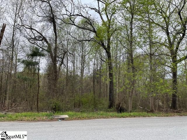 Commercial at 7774 Augusta Road, Piedmont SC 29673-9653, photo 6 of 13