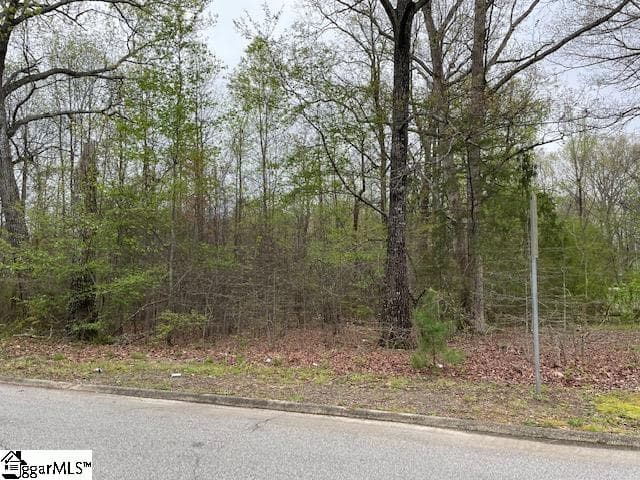 Commercial at 7774 Augusta Road, Piedmont SC 29673-9653, photo 5 of 13