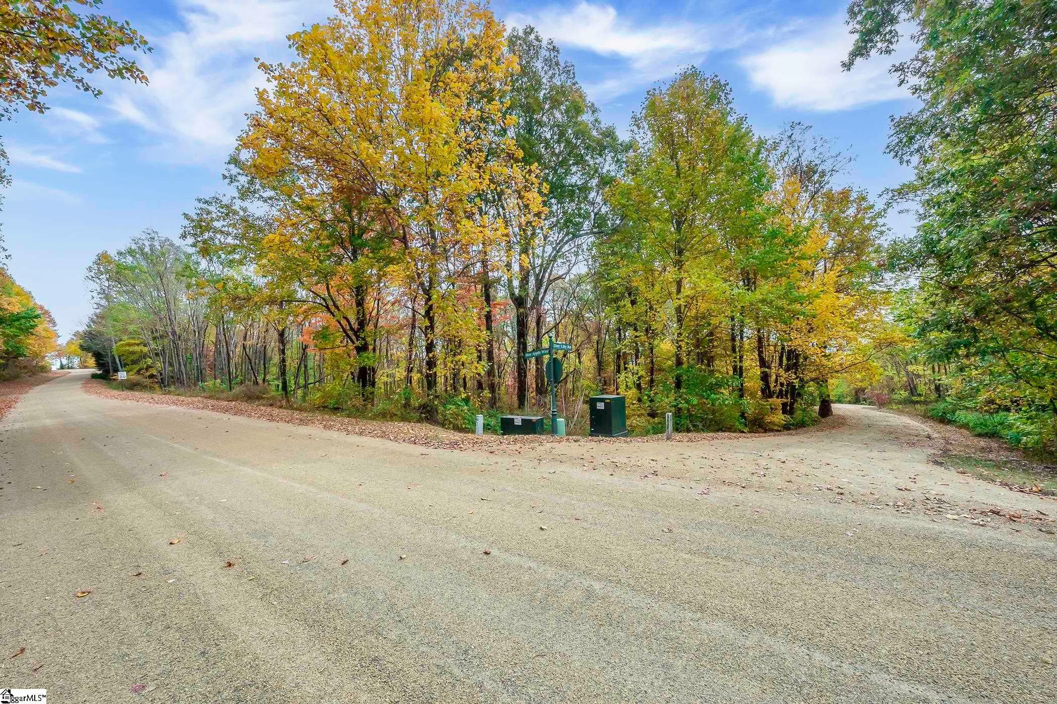 00 May Apple Way, Landrum SC 29356