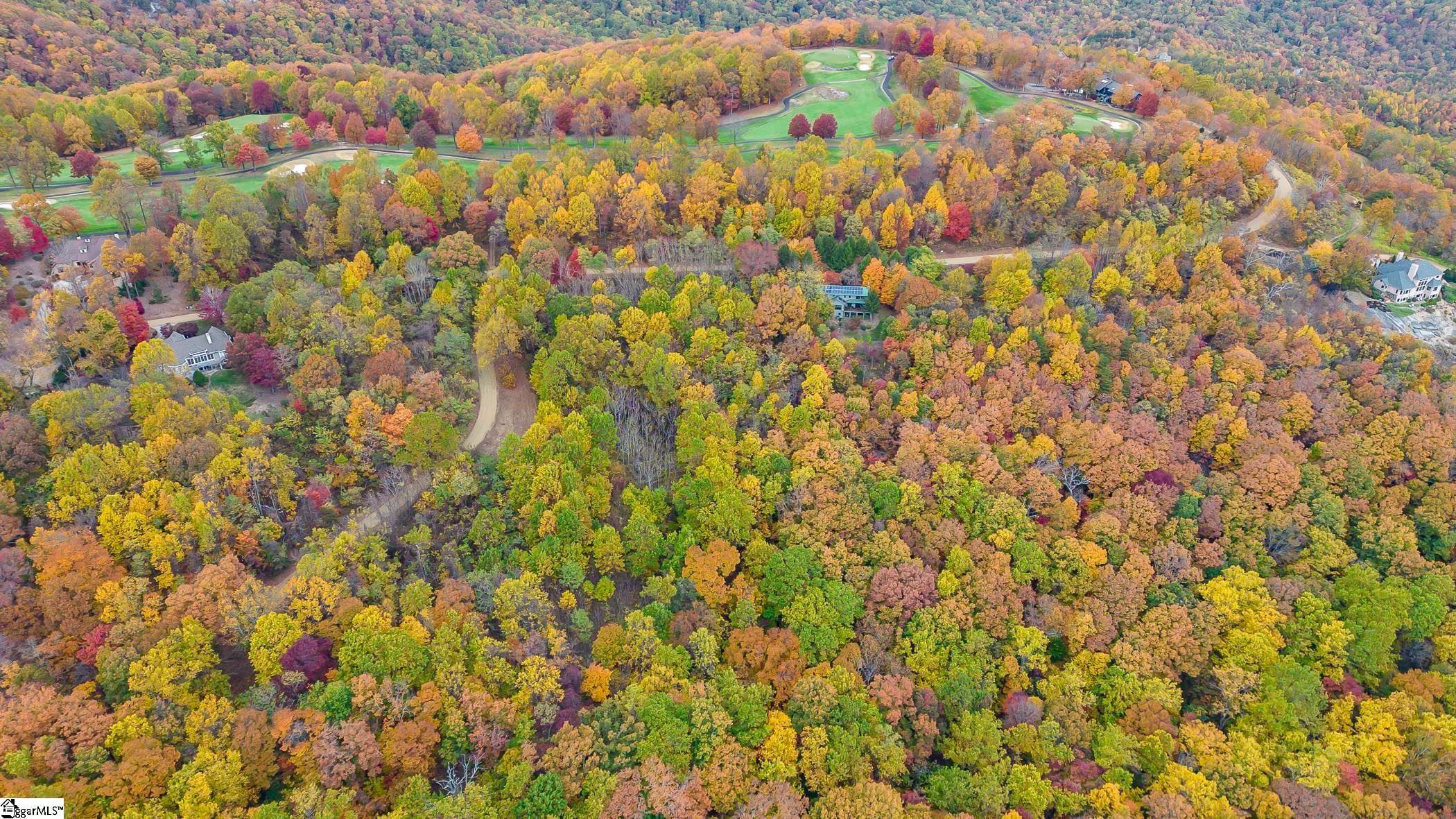 Residential Lot at 00 May Apple Way, Landrum SC 29356, photo 10 of 13