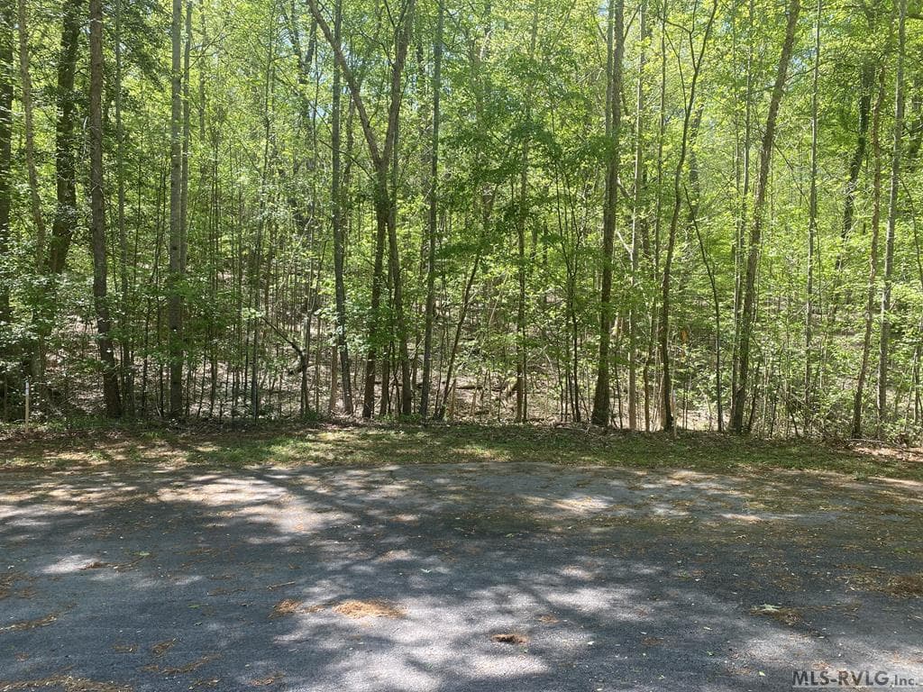 Lot 72 Landing Ct, Macon NC 27842 photo 4