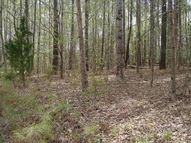 0 Spring Branch Drive, Macon NC 27551