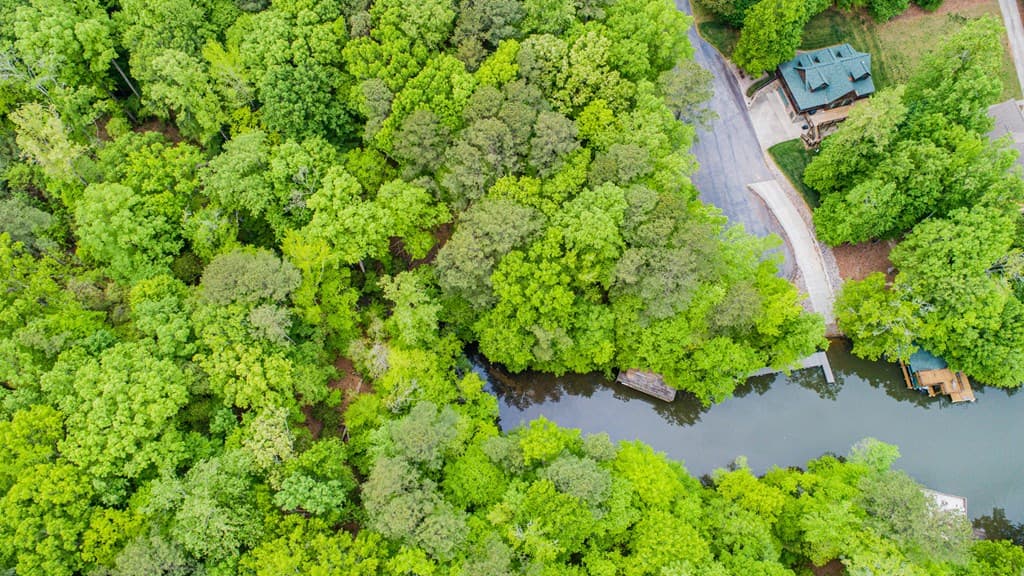 Lot 56 Harbor Drive, Macon NC 27551 photo 2