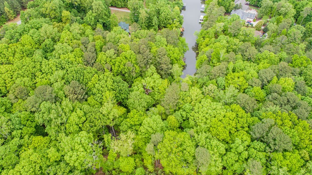 Lot 56 Harbor Drive, Macon NC 27551 photo 12